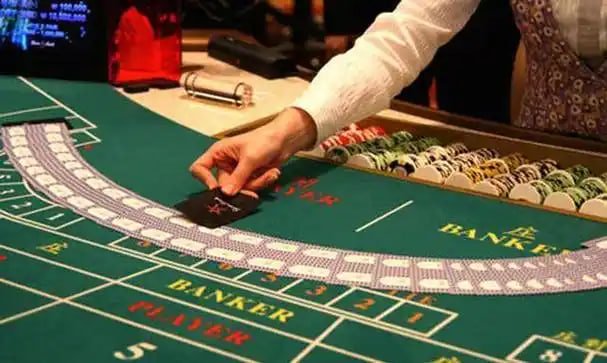 7700 com bet